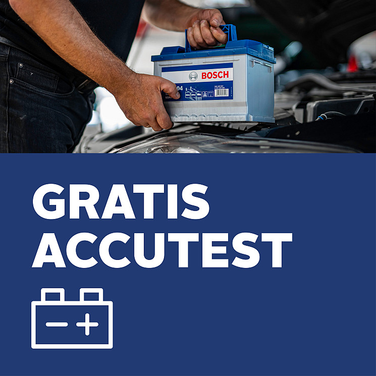 Carteam Rovee Veenis