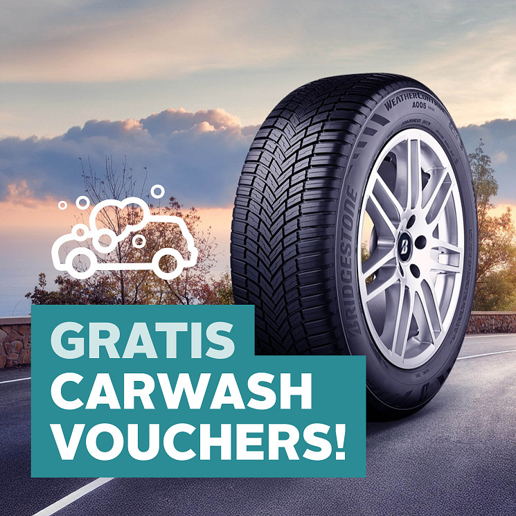 Carteam Rovee Veenis